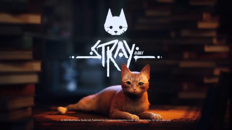 Stray (PC, PS4, PS5)